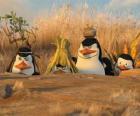 Замаскированные Пингвины